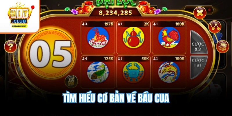 Tìm hiểu cơ bản về bầu cua