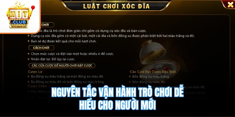 Nguyên tắc vận hành trò chơi dễ hiểu cho người mới